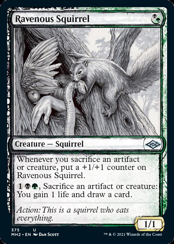 Ravenous Squirrel (Sketch) [Modern Horizons 2] (MH2 375)