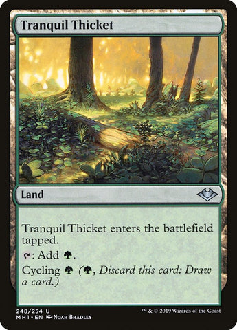 Tranquil Thicket [Modern Horizons] (MH1 248)