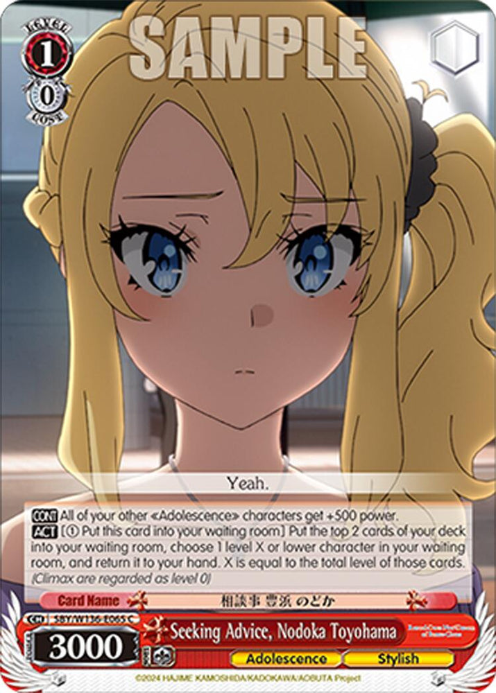 Seeking Advice, Nodoka Toyohama (SBY/W136-E065) [Rascal Does Not Dream of Santa Claus]