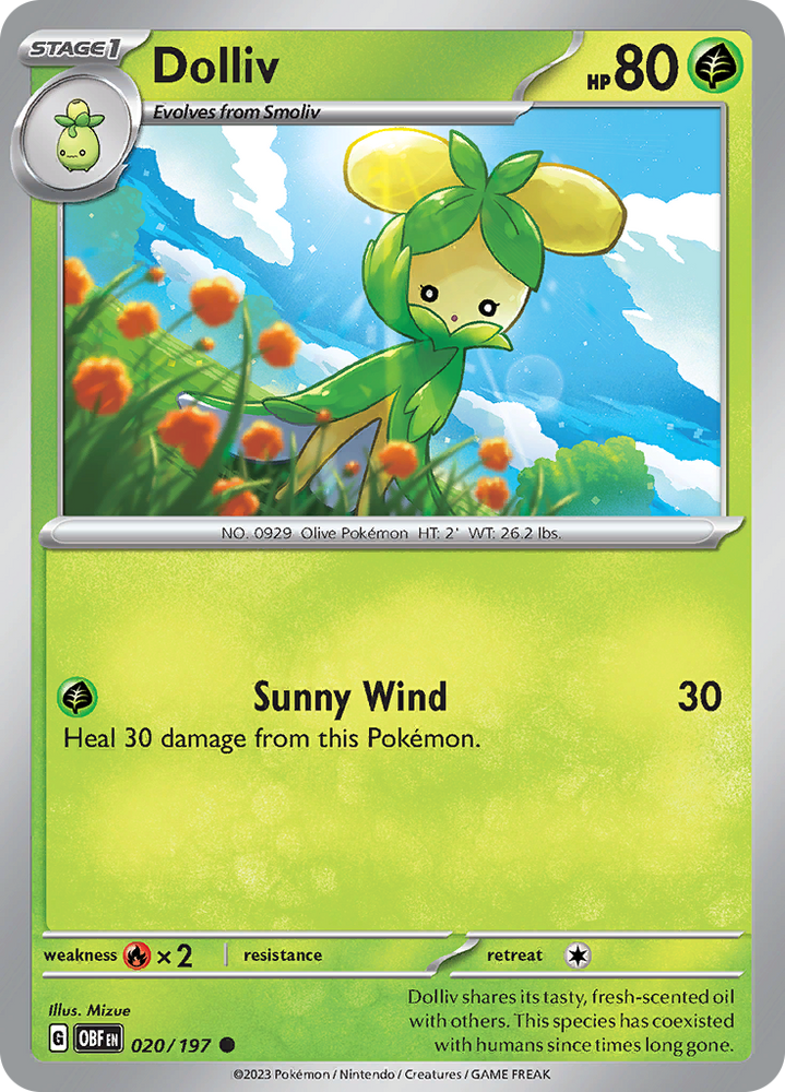 Chespin (Collector Chest) [XY Promos]