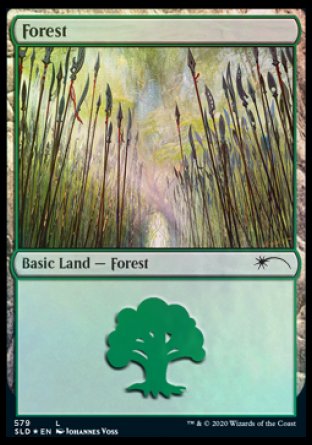 Forest (Elves) (579) [Secret Lair Drop Promos] (PSLD 579)