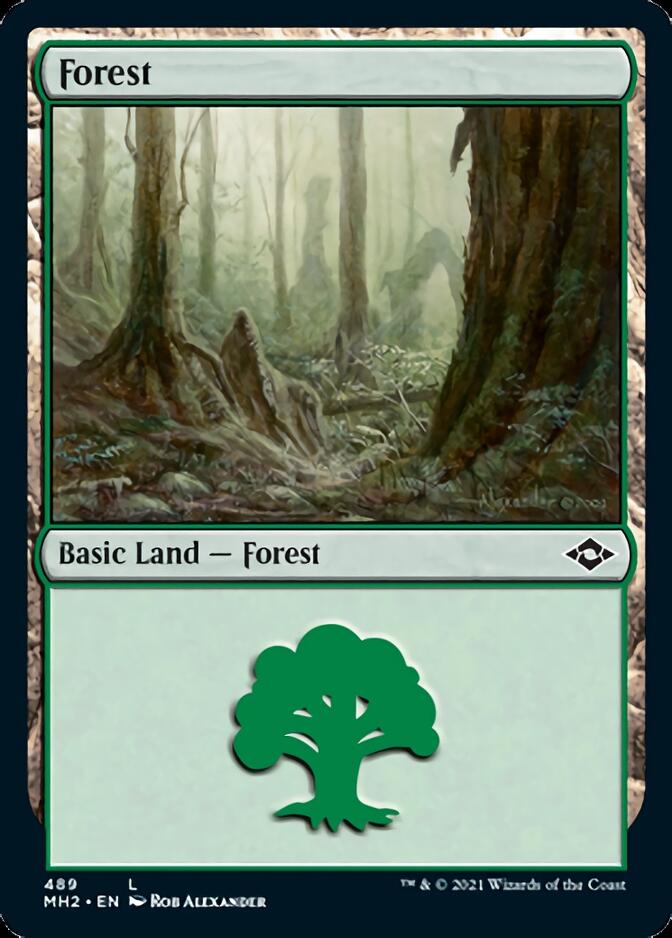 Forest (489) [Modern Horizons 2] (MH2 489)