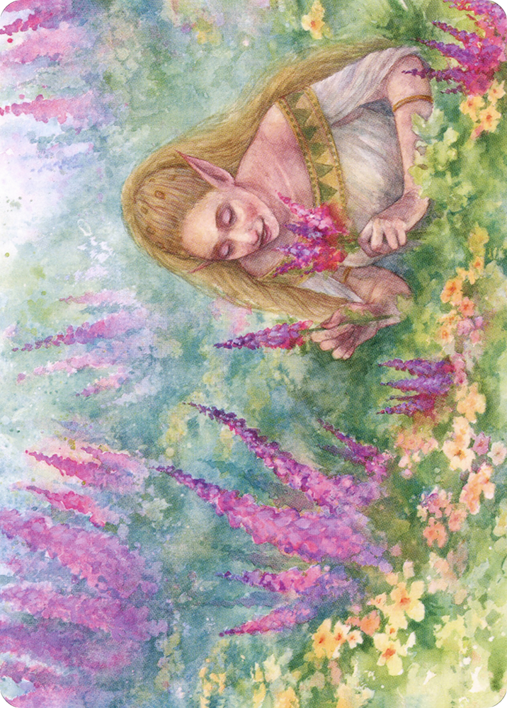Abundant Harvest Art Card [Modern Horizons 2 Art Series] (AMH2 37)