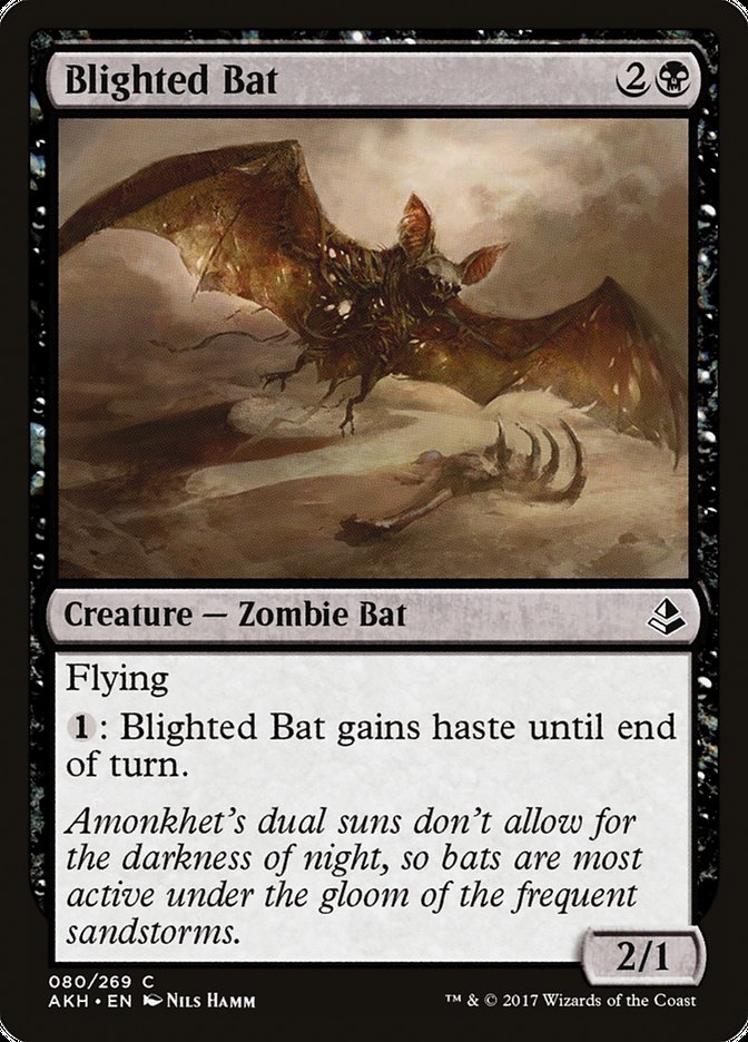 Blighted Bat [Amonkhet] (AKH 80)