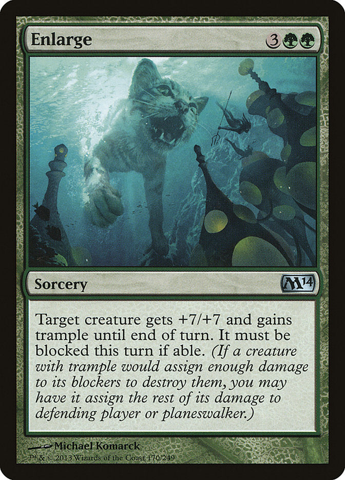 Enlarge [Magic 2014] (M14 170)