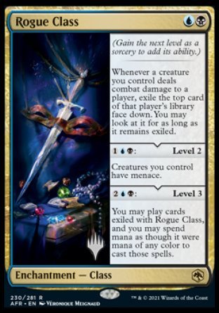 Rogue Class (Promo Pack) [Dungeons & Dragons: Adventures in the Forgotten Realms Promos] (PAFR 230)