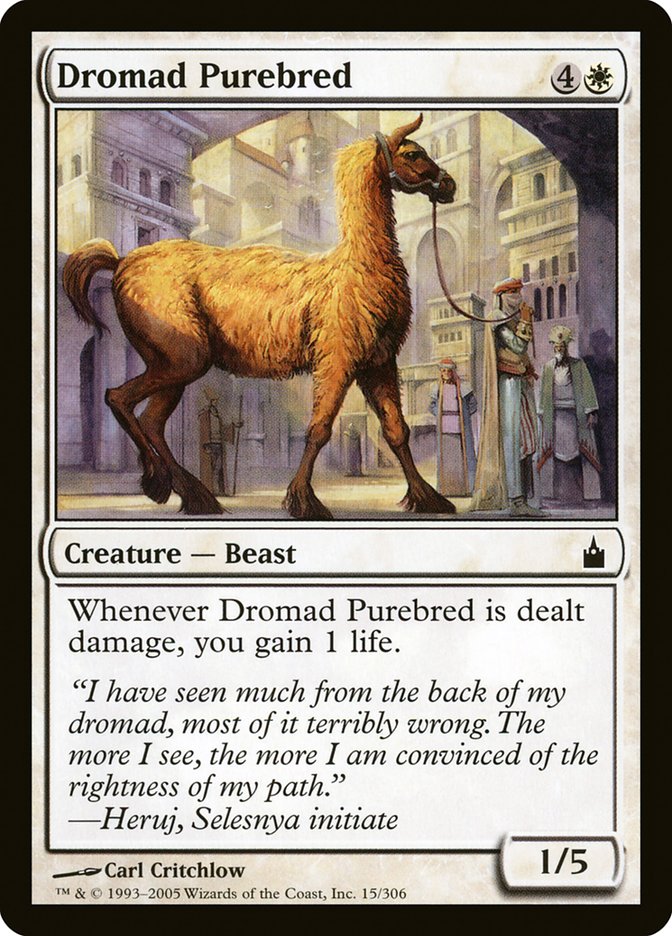 Dromad Purebred [Ravnica: City of Guilds] (RAV 15)