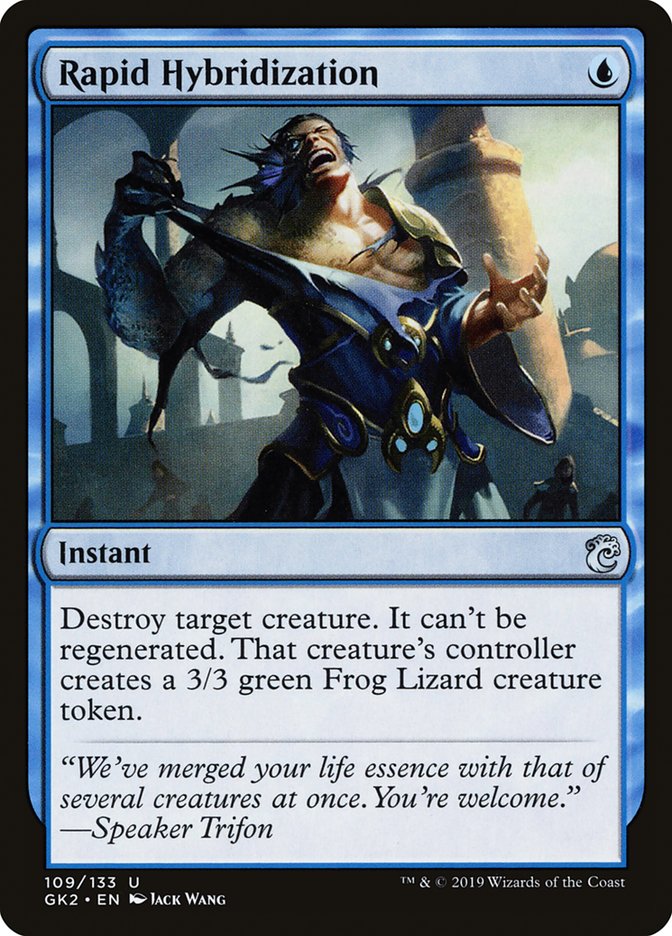 Rapid Hybridization [RNA Guild Kit] (GK2 109)