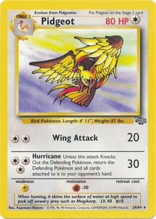 Pidgeot (24/64) [Jungle]