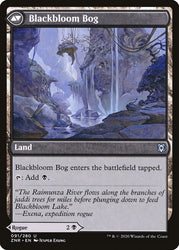 Blackbloom Rogue // Blackbloom Bog [Zendikar Rising] (ZNR 91)