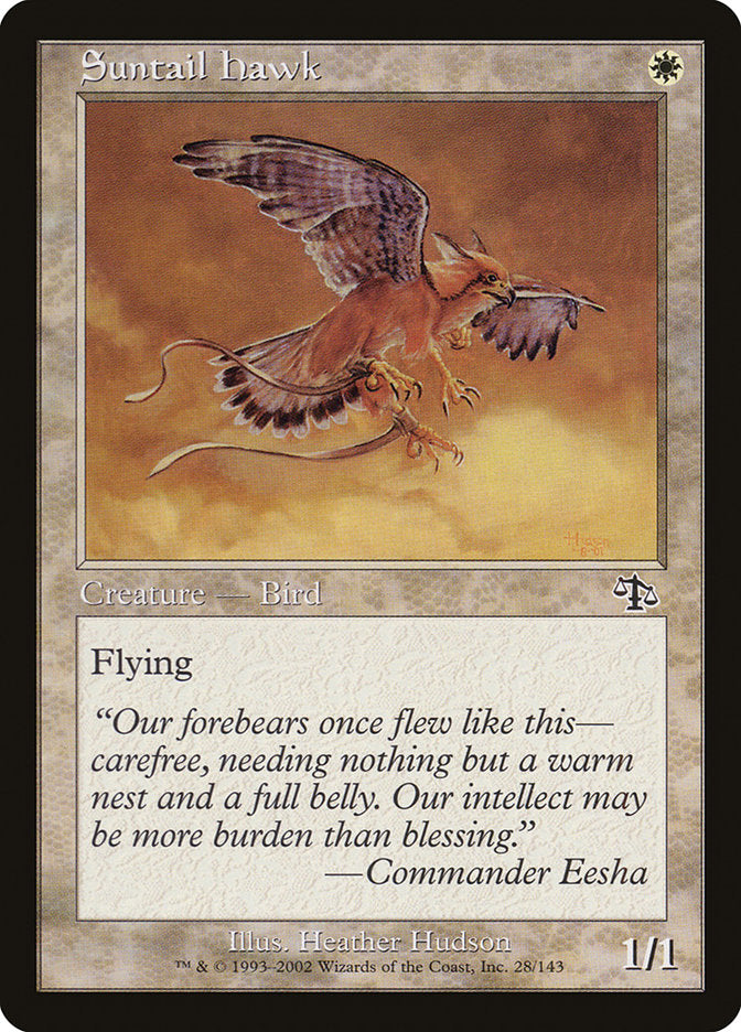 Suntail Hawk [Judgment] (JUD 28)