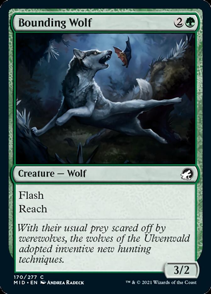 Bounding Wolf [Innistrad: Midnight Hunt] (MID 170)
