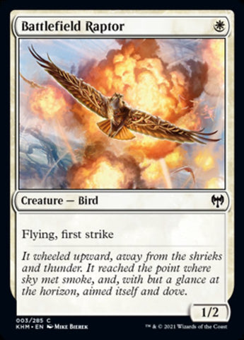 Battlefield Raptor [Kaldheim] (KHM 3)