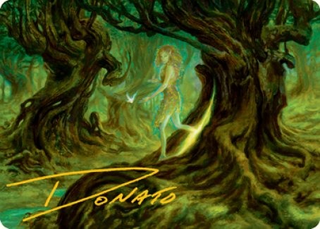 Neverwinter Dryad Art Card (Gold-Stamped Signature) [Dungeons & Dragons: Adventures in the Forgotten Realms Art Series] (AAFR 69)