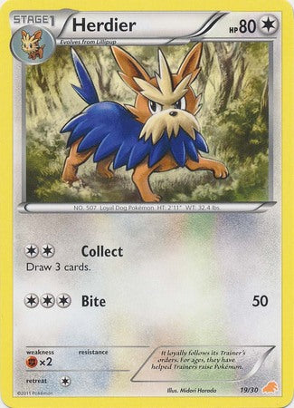 Herdier (19/30) [Black & White: Trainer Kit]