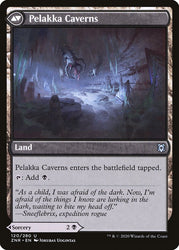 Pelakka Predation // Pelakka Caverns [Zendikar Rising] (ZNR 120)