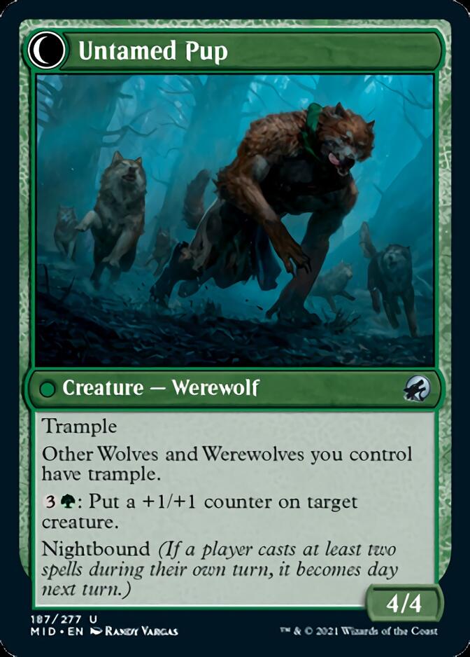 Hound Tamer // Untamed Pup [Innistrad: Midnight Hunt] (MID 187)