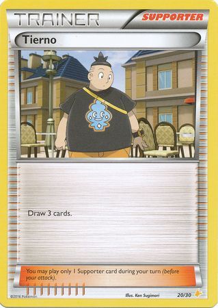 Tierno (20/30) [XY: Trainer Kit - Pikachu Libre & Suicune]