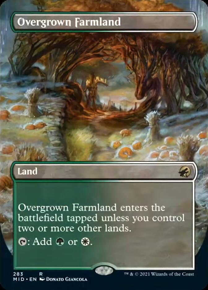 Overgrown Farmland (Borderless) [Innistrad: Midnight Hunt] (MID 283)
