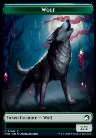 Wolf // Spider Double-sided Token [Innistrad: Midnight Hunt Tokens] (TMID 13)