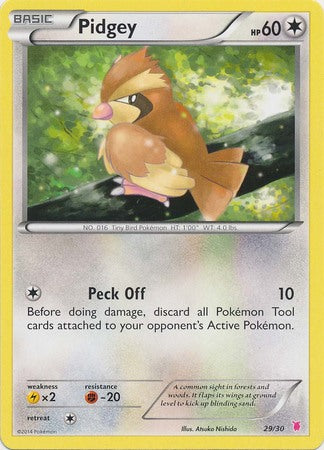 Pidgey (29/30) [XY: Trainer Kit - Bisharp & Wigglytuff]