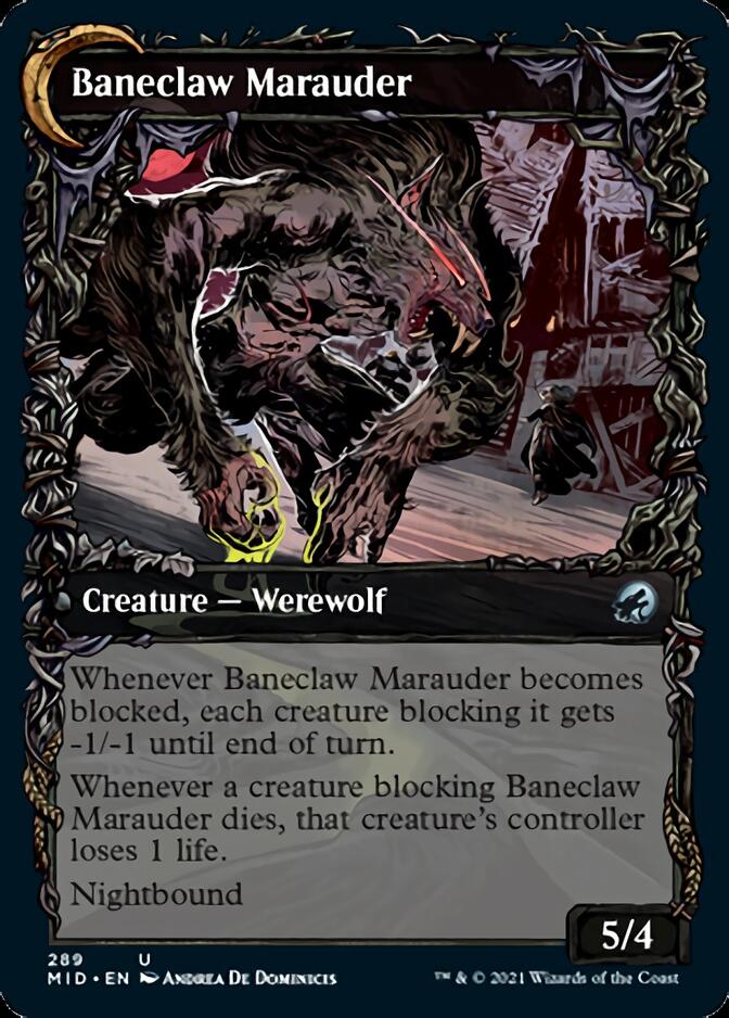 Baneblade Scoundrel // Baneclaw Marauder (Showcase Equinox) [Innistrad: Midnight Hunt] (MID 289)