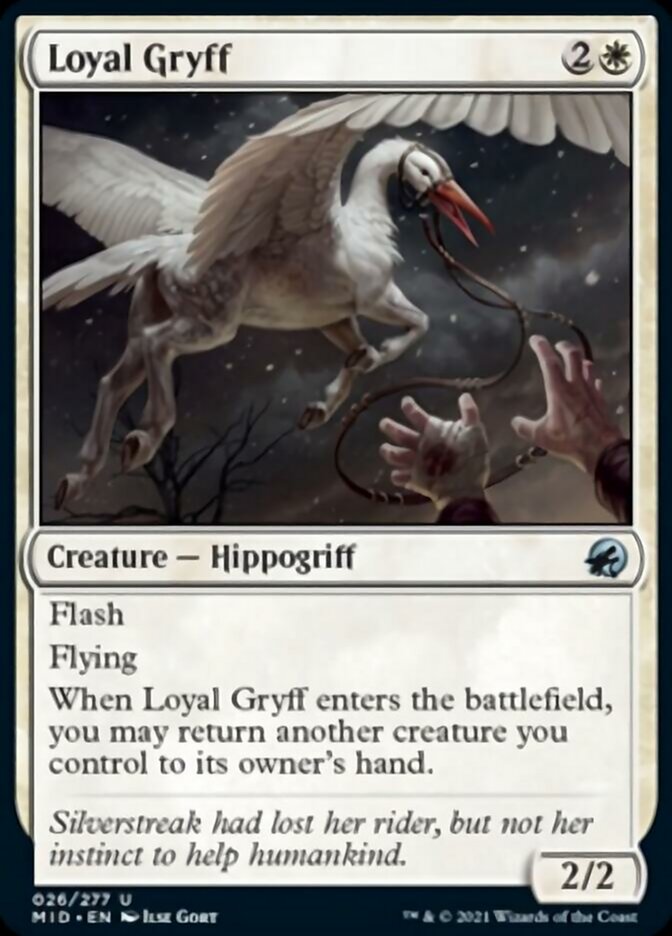 Loyal Gryff [Innistrad: Midnight Hunt] (MID 26)