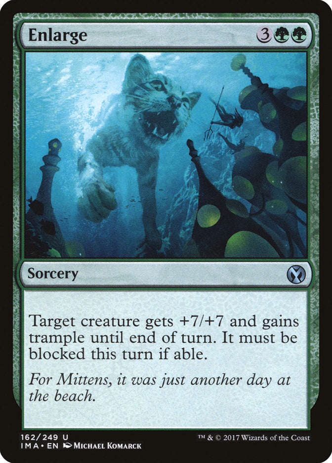 Enlarge [Iconic Masters] (IMA 162)