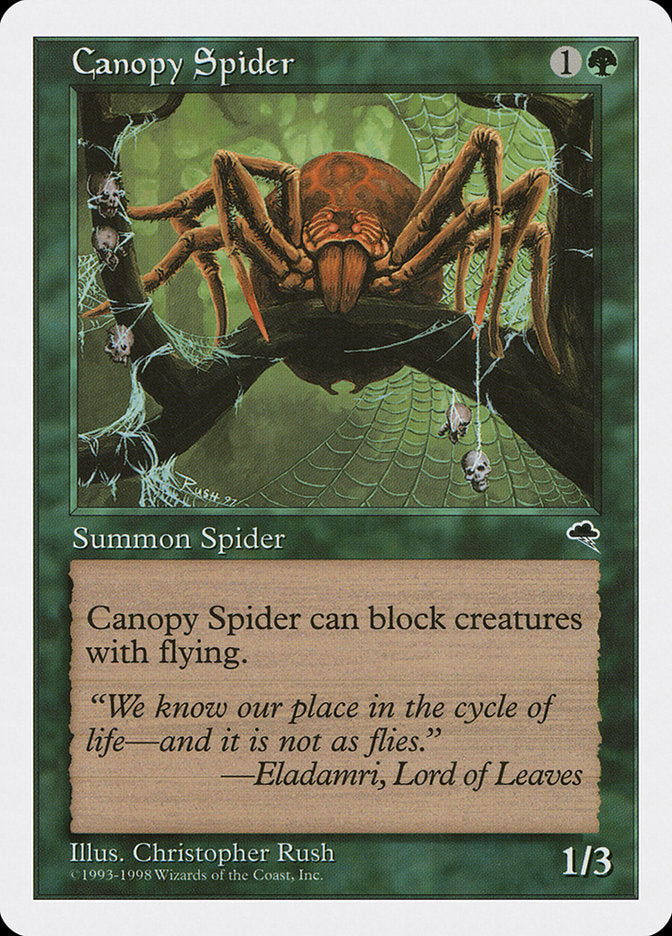 Canopy Spider [Anthologies] (ATH 52)