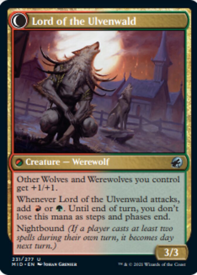 Kessig Naturalist // Lord of the Ulvenwald [Innistrad: Midnight Hunt] (MID 231)