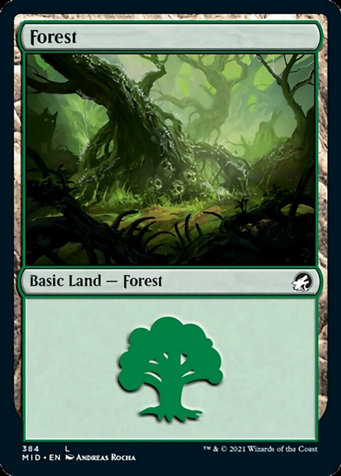 Forest (384) [Innistrad: Midnight Hunt] (MID 384)