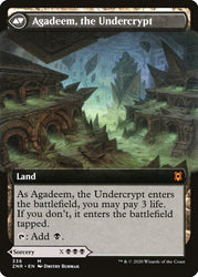 Agadeem's Awakening // Agadeem, the Undercrypt (Extended Art) [Zendikar Rising] (ZNR 336)