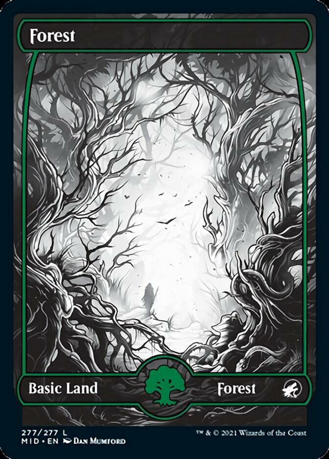 Forest (277) [Innistrad: Midnight Hunt] (MID 277)
