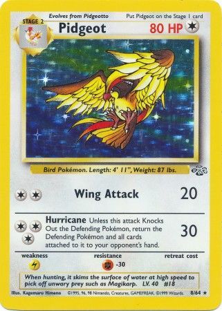 Pidgeot (8/64) [Jungle]