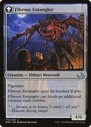 Tangleclaw Werewolf // Fibrous Entangler [Eldritch Moon] (EMN 174)