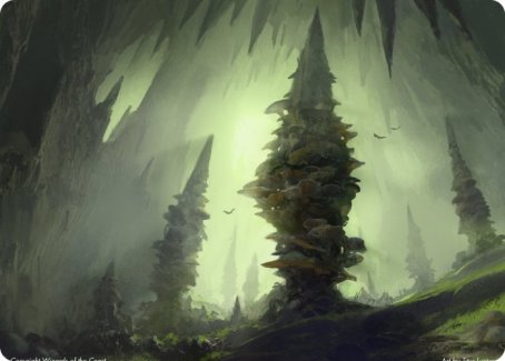 Forest (280) Art Card [Dungeons & Dragons: Adventures in the Forgotten Realms Art Series] (AAFR 55)