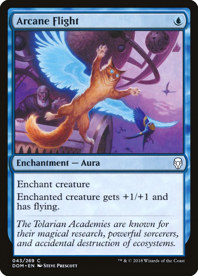 Arcane Flight [Dominaria] (DOM 43)