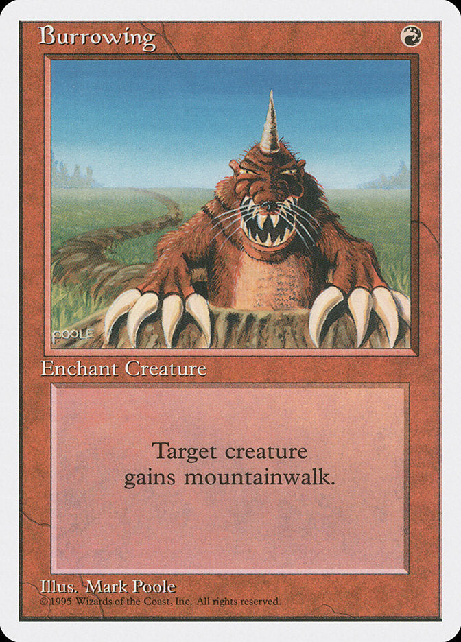 Burrowing [Fourth Edition] (4ED 180)