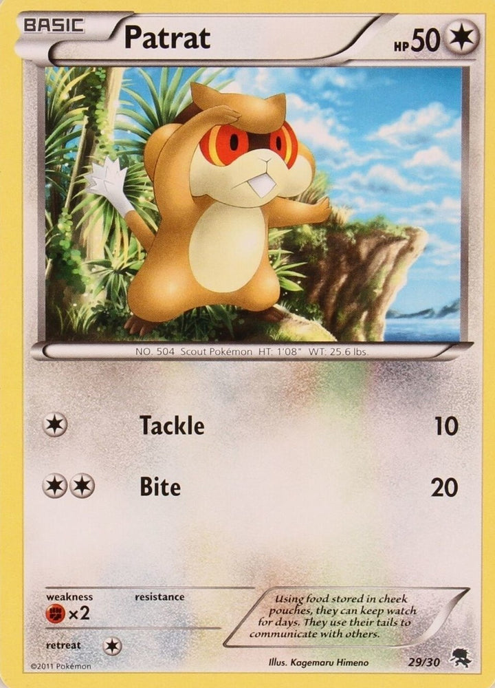 Patrat (29/30) [Black & White: Trainer Kit]